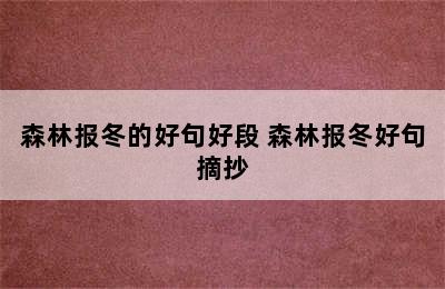 森林报冬的好句好段 森林报冬好句摘抄